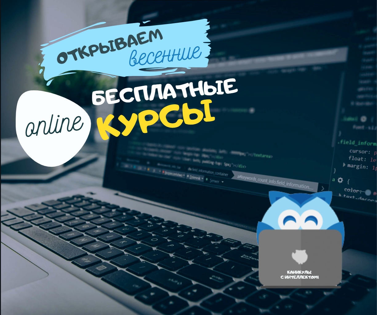 Бесплатные online-курсы